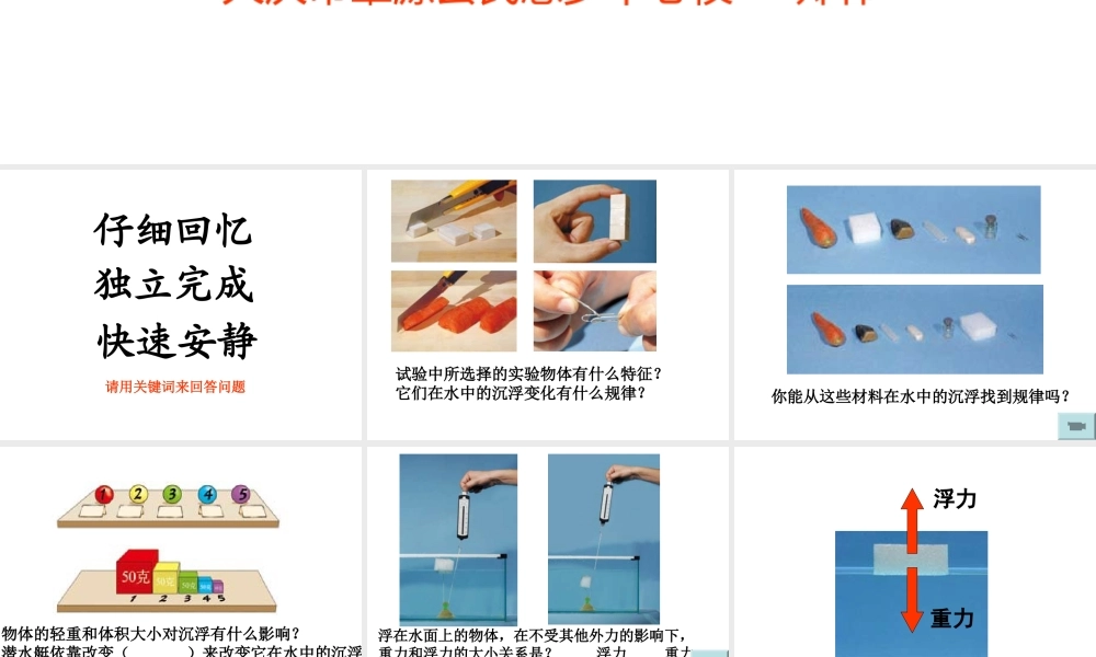 《沉和浮》单元梳理