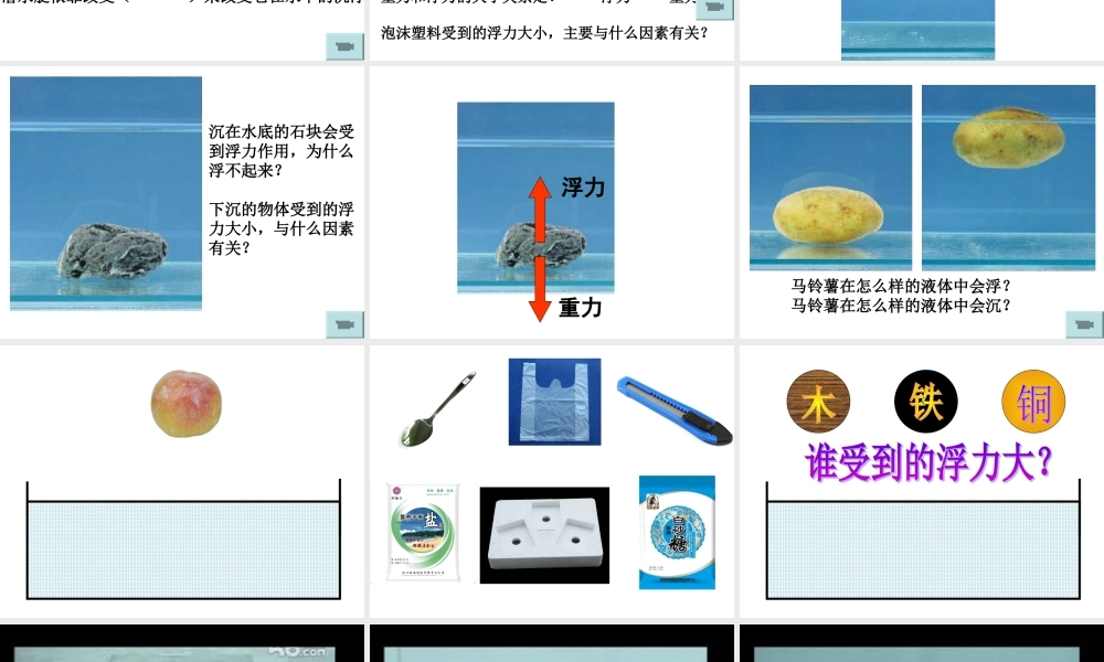 《沉和浮》单元梳理