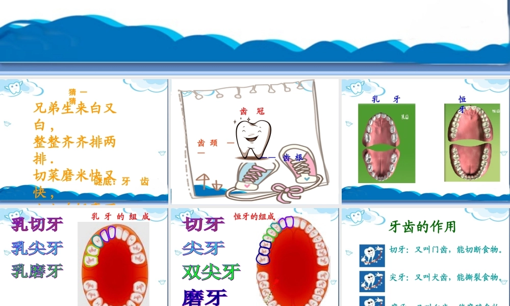 《我们的“爱牙日”》课件