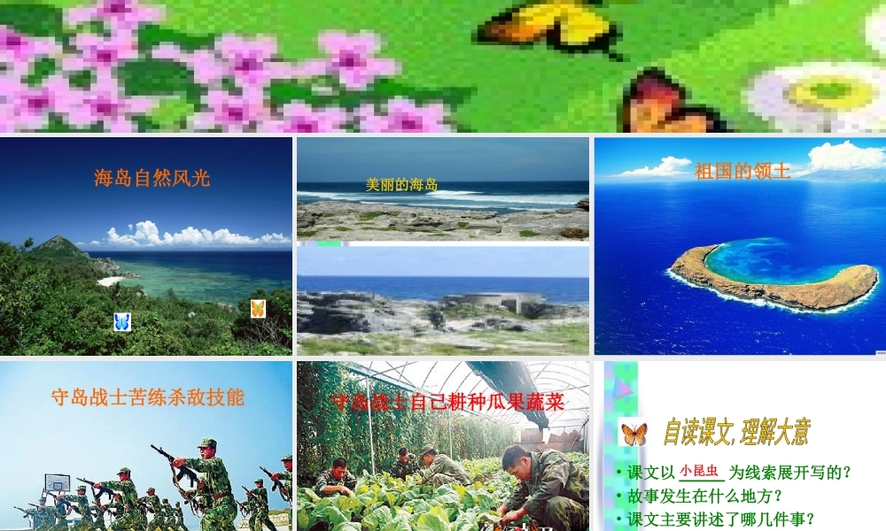 六年级语文上册第二组7彩色的翅膀第一课时课件