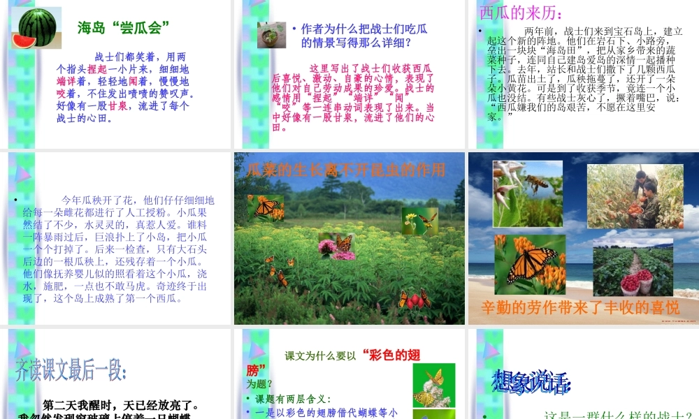 六年级语文上册第二组7彩色的翅膀第一课时课件