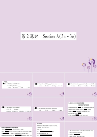 九年级英语全册 Unit 9 I like music that I can dance to(第2课时)作业课件 (新版)人教新目标版 课件