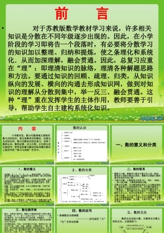 小学毕业班数与代数复习