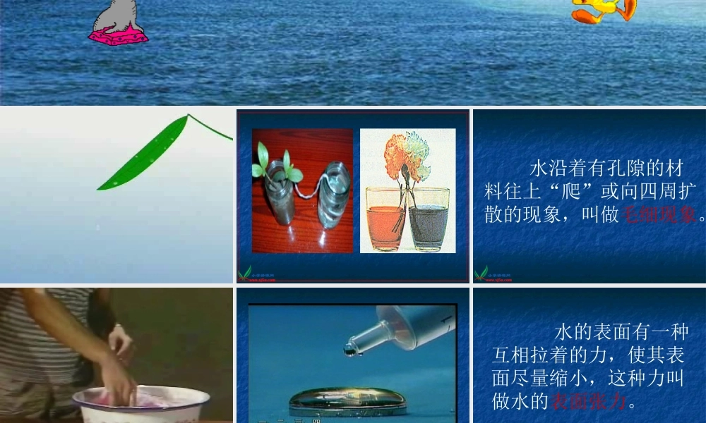 苏教版小学科学三年级上册《神奇的水》PPT课件之二