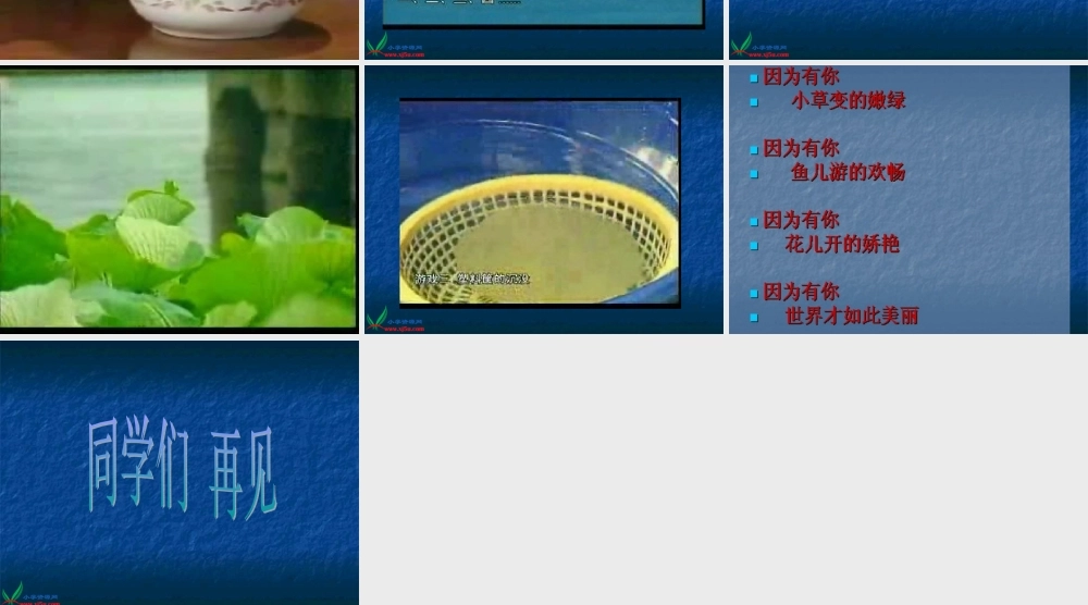 苏教版小学科学三年级上册《神奇的水》PPT课件之二