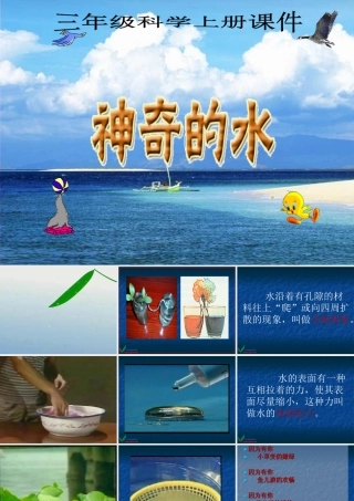 苏教版小学科学三年级上册《神奇的水》PPT课件之二
