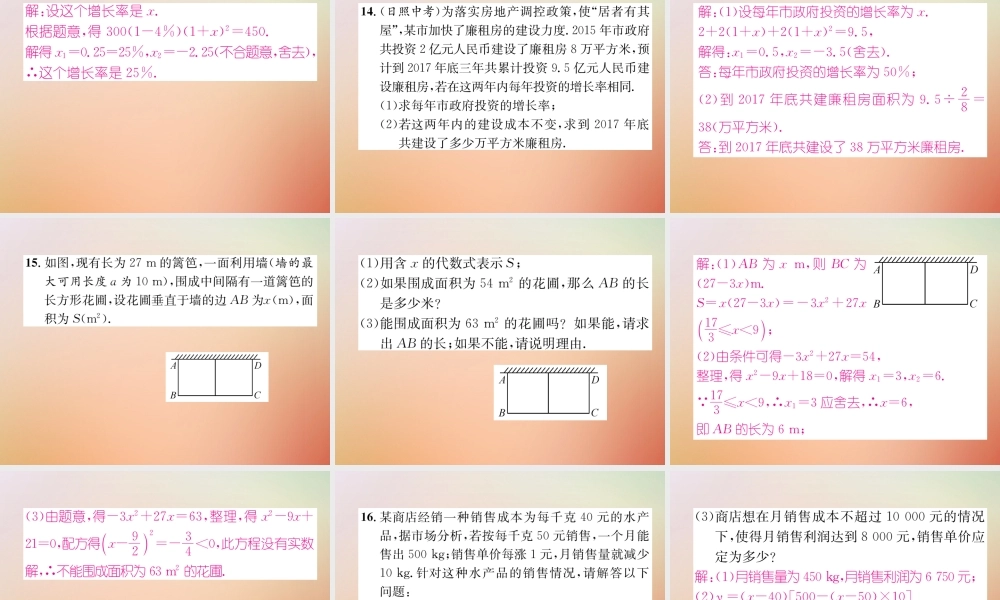 九年级数学上册 第2章 一元二次方程本章知识分类强化作业课件 (新版)北师大版 课件