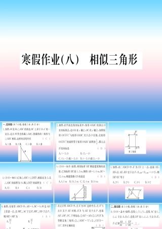 九年级数学下册 寒假作业(八)相似三角形课堂导练课件(含中考真题)(新版)新人教版 课件
