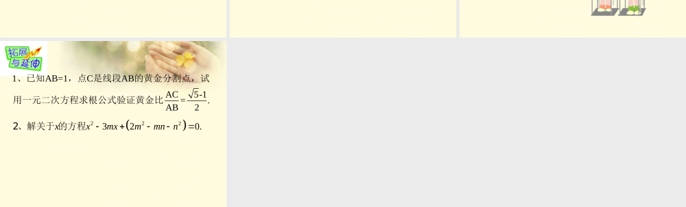 九年级数学上册 423 一元二次方程的解法课件 苏科版 课件