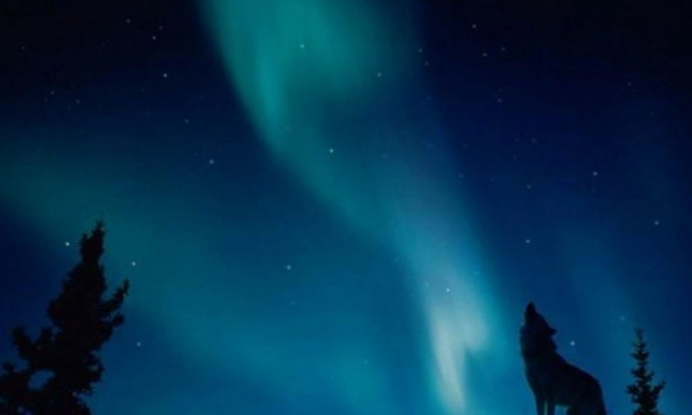 七年级语文上册 第五单元 18(狼)课件 新人教版 课件