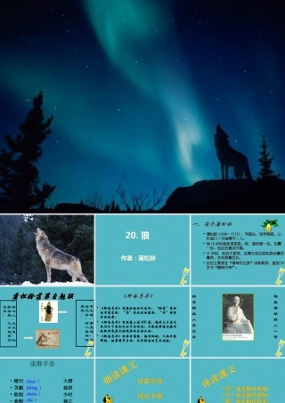 七年级语文上册 第五单元 18(狼)课件 新人教版 课件