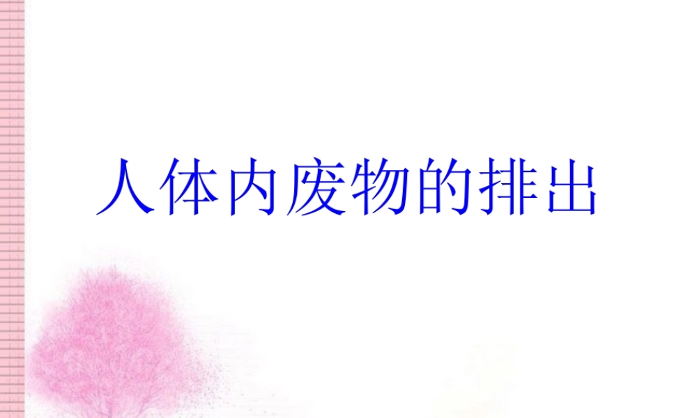 七年级生物下册：第5章 人体内废物的排出(复习课件)人教版 课件
