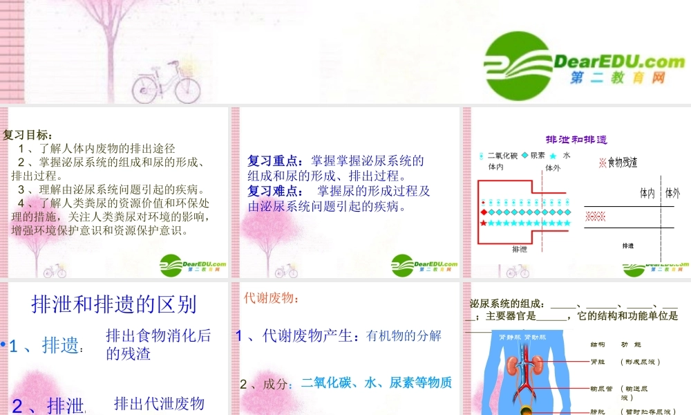 七年级生物下册：第5章 人体内废物的排出(复习课件)人教版 课件