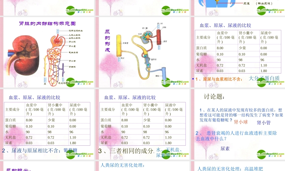 七年级生物下册：第5章 人体内废物的排出(复习课件)人教版 课件