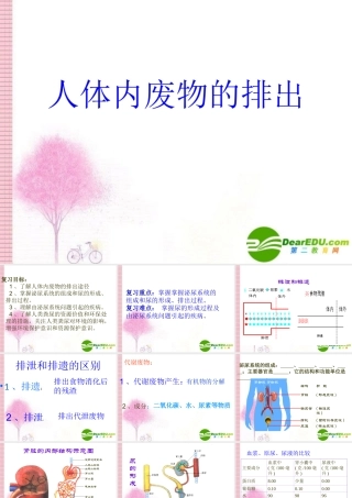 七年级生物下册：第5章 人体内废物的排出(复习课件)人教版 课件