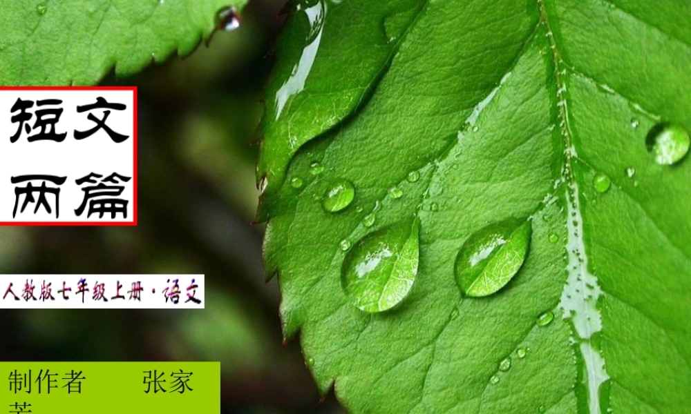 人教版七年级上册18课《短文两篇》课件