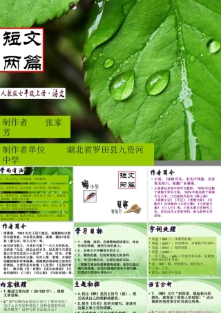 人教版七年级上册18课《短文两篇》课件