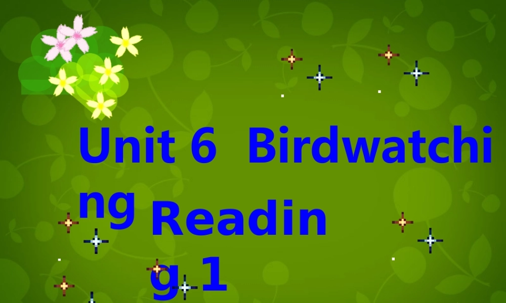 八年级英语上册 Unit 6 Bird watching Reading 1课件 (新版)牛津版 课件