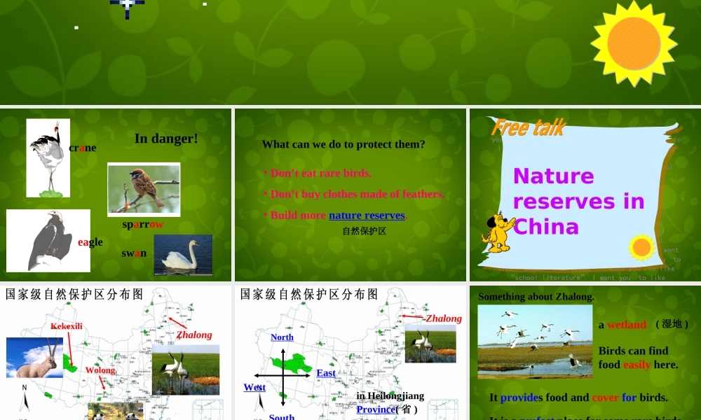 八年级英语上册 Unit 6 Bird watching Reading 1课件 (新版)牛津版 课件