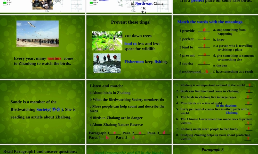 八年级英语上册 Unit 6 Bird watching Reading 1课件 (新版)牛津版 课件