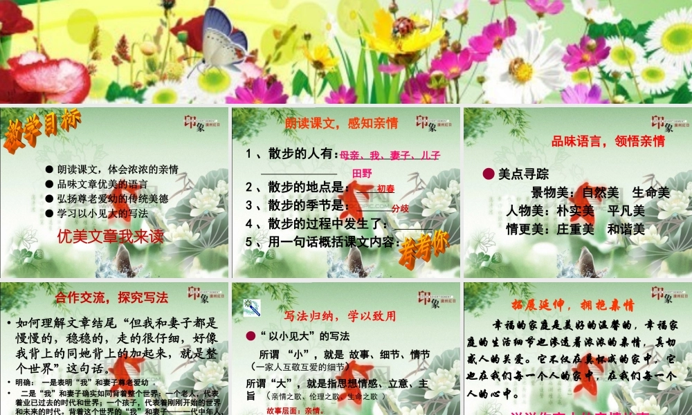 八年级语文下册 课堂教学资料 第22课(散步)课件 苏教版 课件