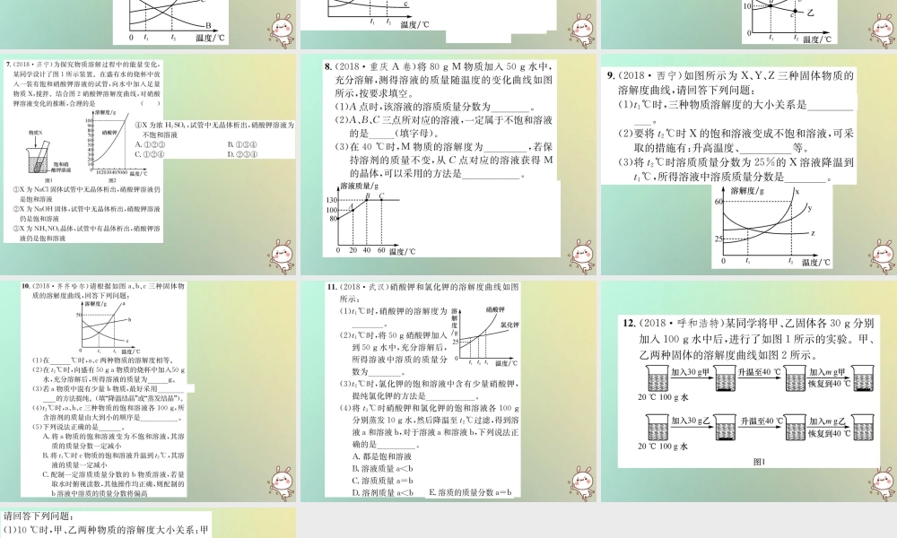 中考化学复习 滚动小专题(一)溶解度与溶解度曲线课件