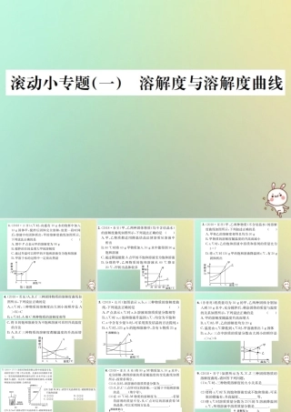 中考化学复习 滚动小专题(一)溶解度与溶解度曲线课件