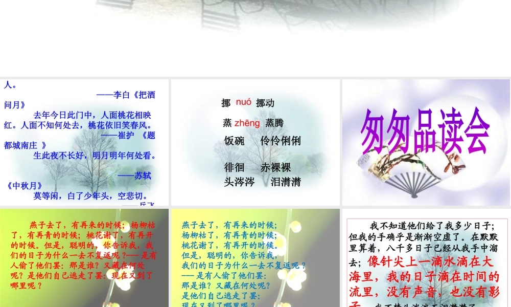 《匆匆》教学课件1