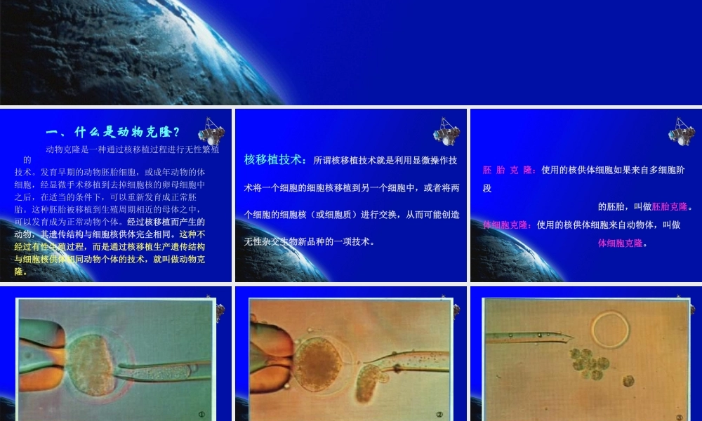 科学·技术·社会-克隆哺乳动物-(2)