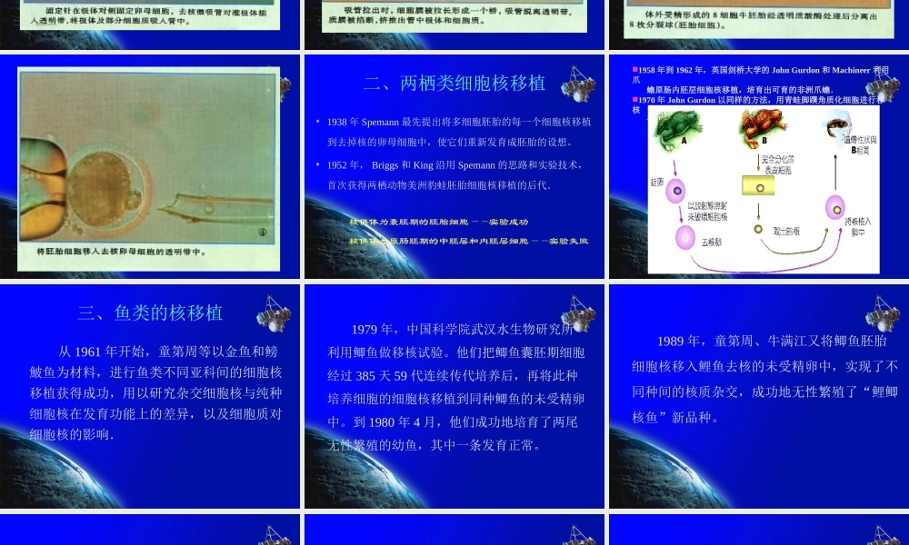 科学·技术·社会-克隆哺乳动物-(2)