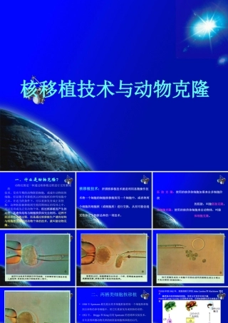 科学·技术·社会-克隆哺乳动物-(2)