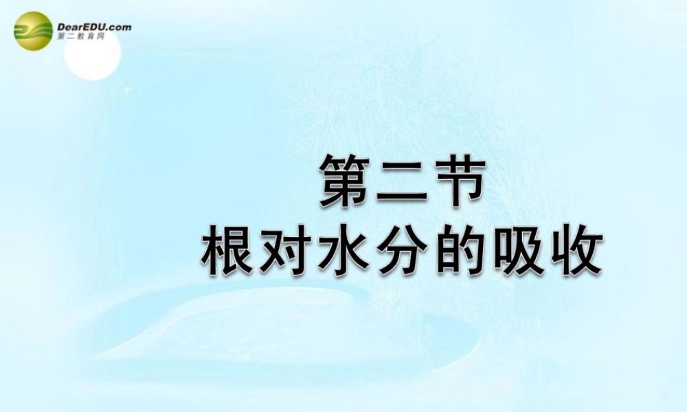 八年级生物上册(根对水分的吸收)课件 冀教版 课件