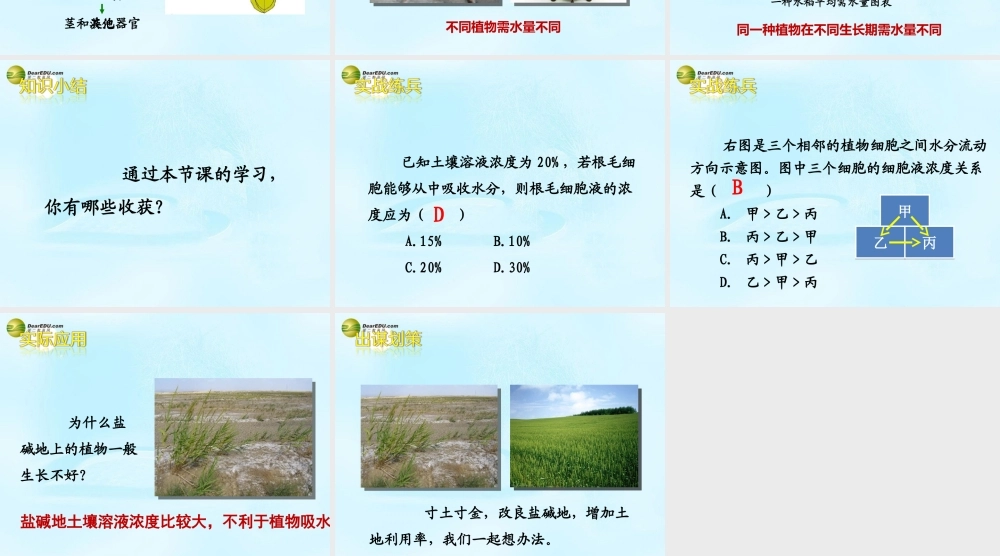 八年级生物上册(根对水分的吸收)课件 冀教版 课件