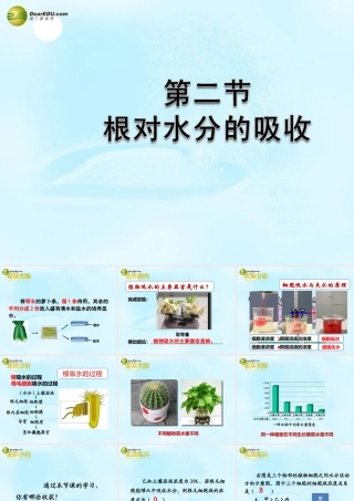 八年级生物上册(根对水分的吸收)课件 冀教版 课件