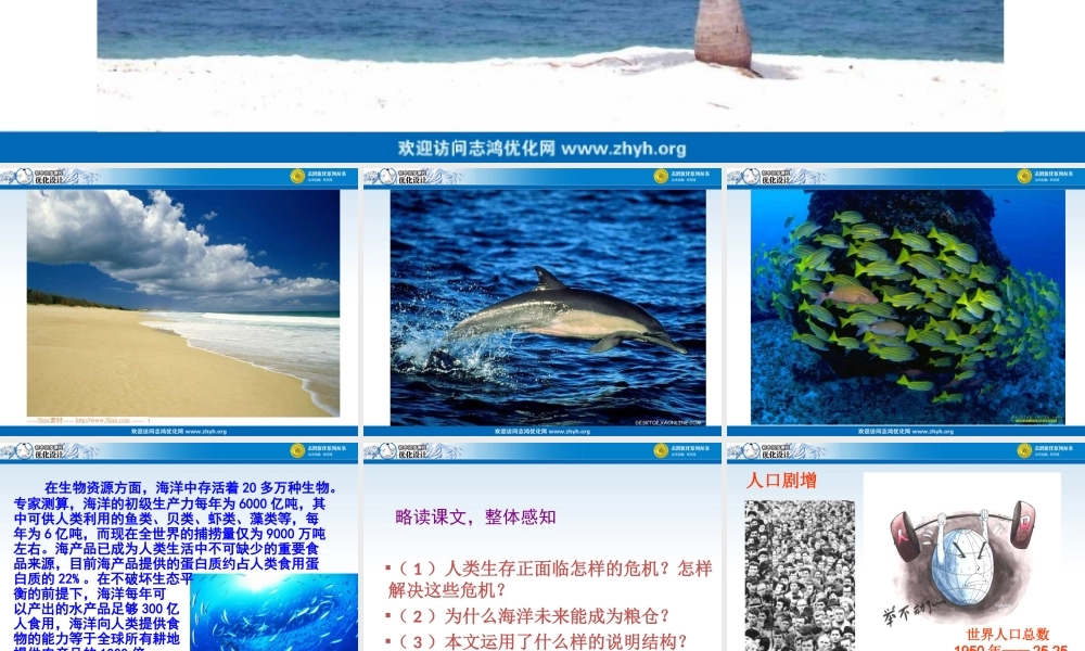 海洋是未来的粮仓