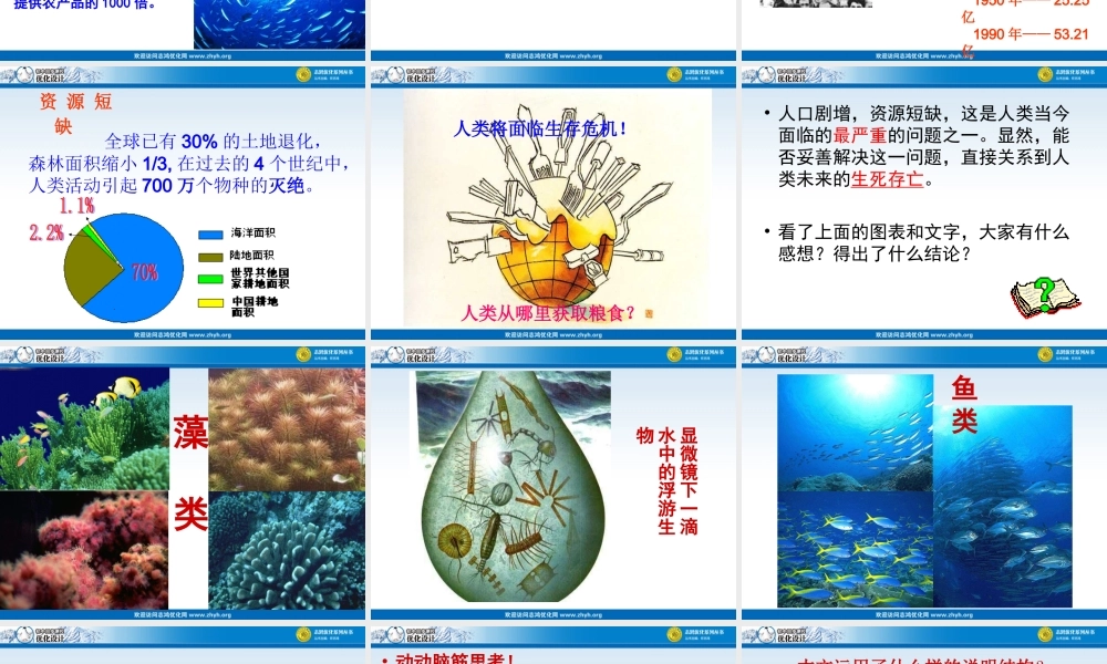 海洋是未来的粮仓