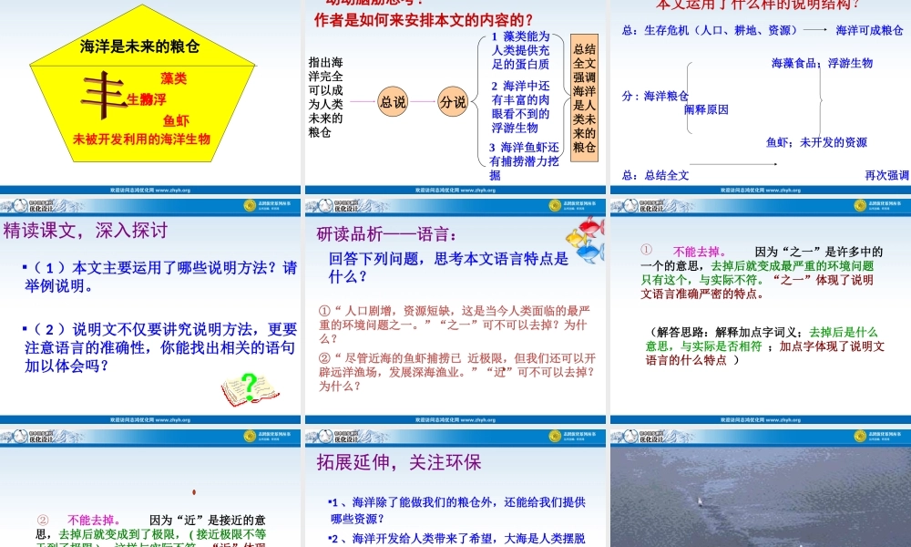 海洋是未来的粮仓