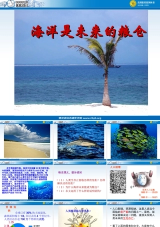 海洋是未来的粮仓