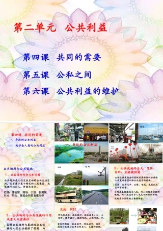 八年级下第四课政治共同的需要(教科版)