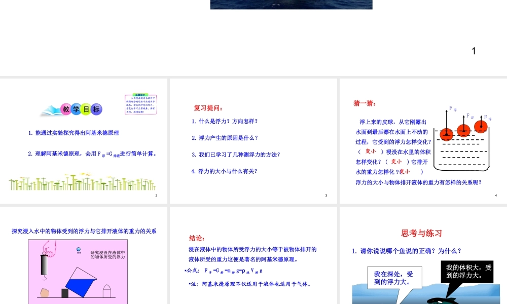 《9.2阿基米德原理》课件8