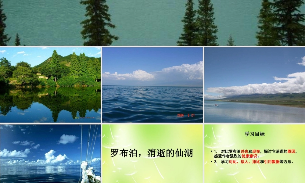 八年级语文下册(第12课 罗布泊，消逝的仙湖)课件 新人教版 课件