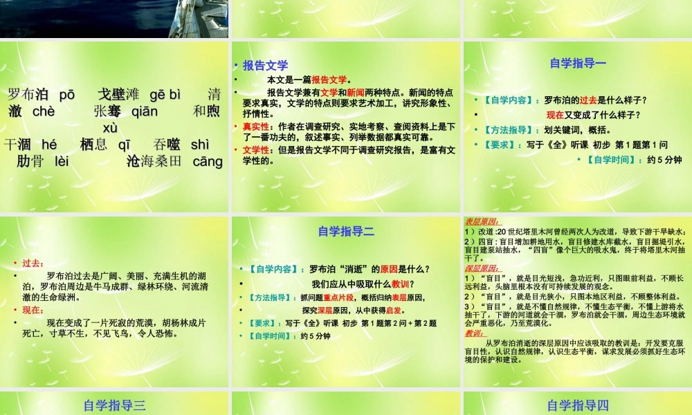 八年级语文下册(第12课 罗布泊，消逝的仙湖)课件 新人教版 课件