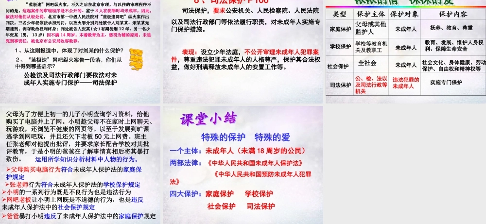 中学七年级政治下册 第八课 第1框 特殊的保护特殊的爱课件 新人教版 课件