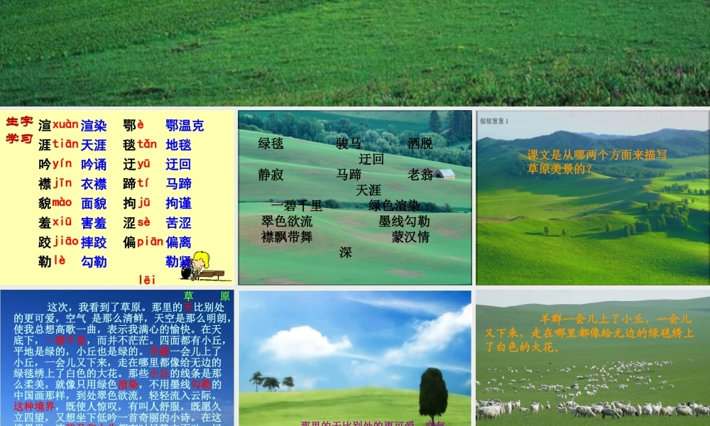 《草原》教学课件2