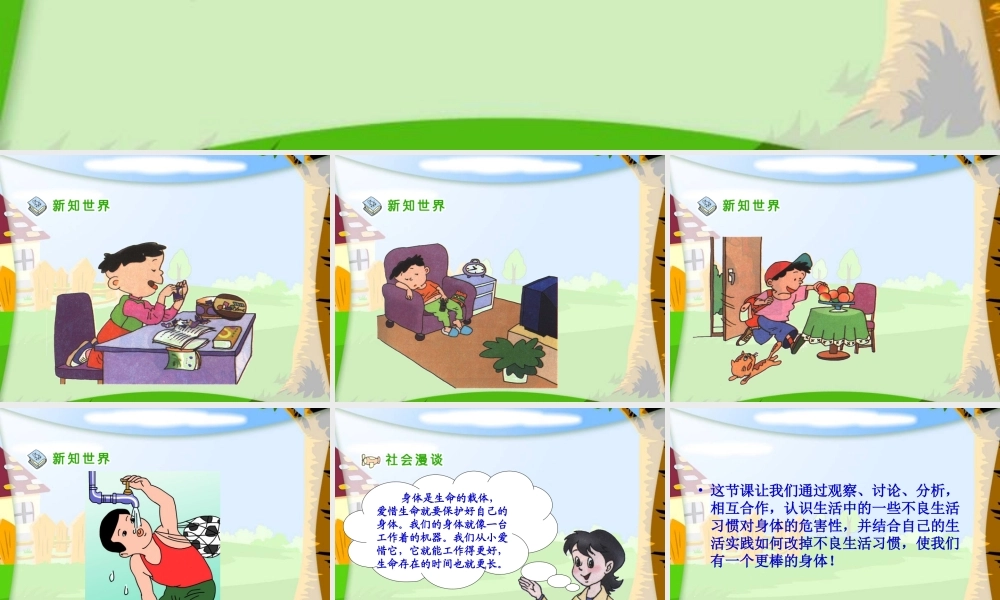 《呵护我们的身体》PPT课件