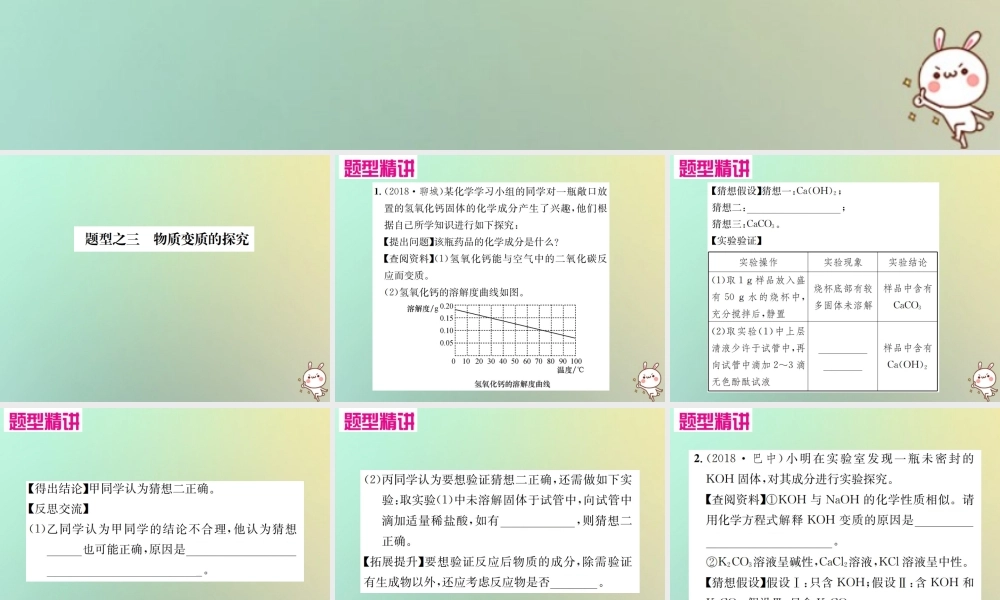 中考化学复习 题型复习(四)实验探究题 题型之三 物质变质的探究课件