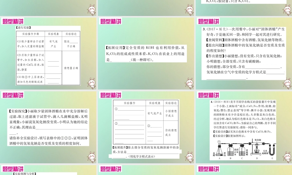 中考化学复习 题型复习(四)实验探究题 题型之三 物质变质的探究课件