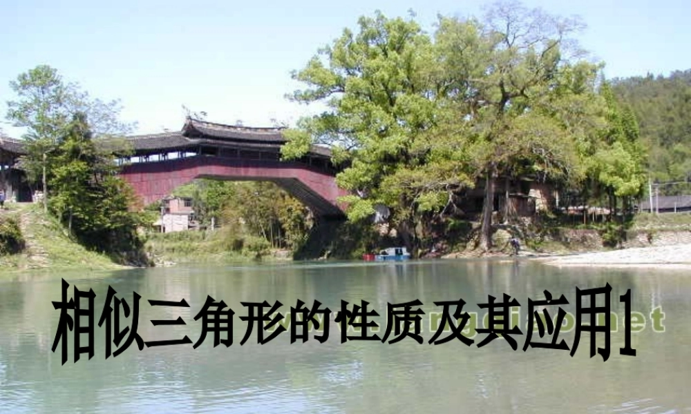 八年级数学相似三角形的性质及其应用课件1鲁教版 课件