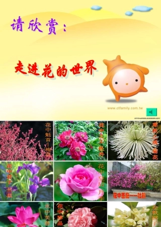 开花和结果(讲课课件)