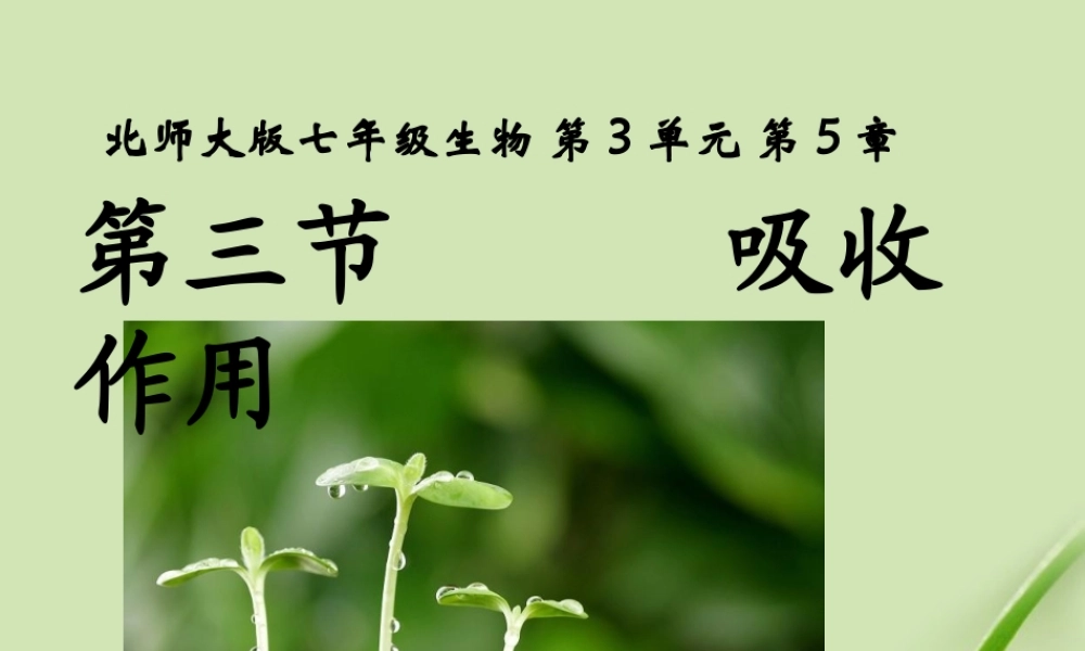 七年级生物上册 第五章第3节吸收作用课件 北师大版 课件